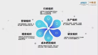 朗欧企管 如何通过组织建设“管好人” —— 成功案例深度解析