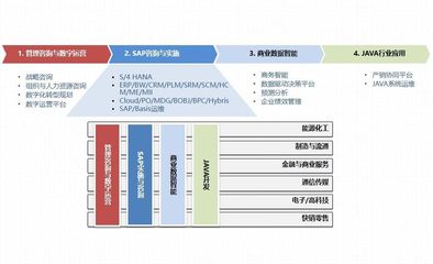 企业管理与咨询 从战略洞察到执行落地