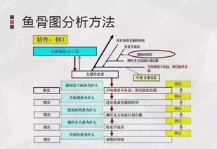 质量管理初级入门 用鱼骨图找出问题的根源